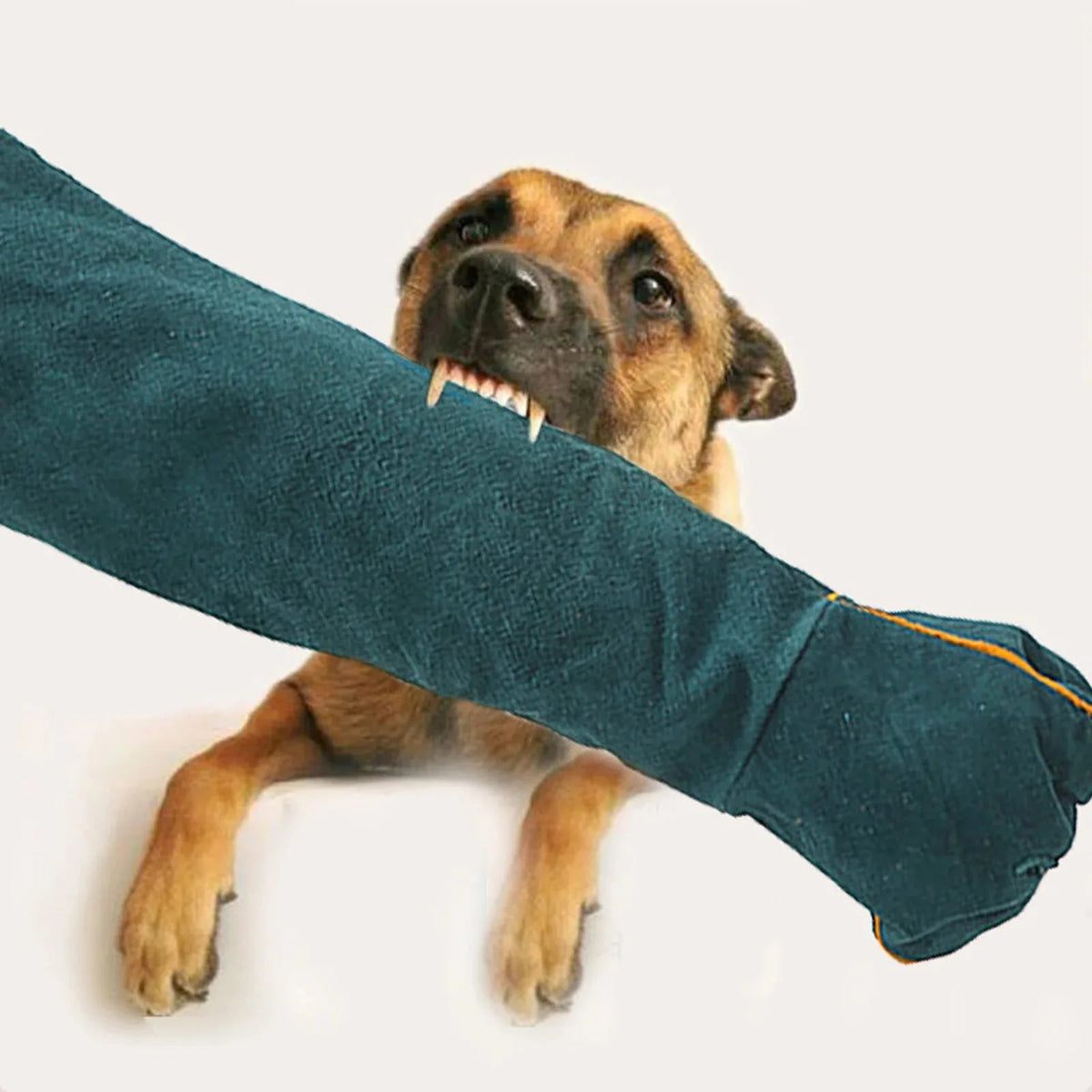 1Pair Anti-Bite Safety Gloves,Leather Green Pets Grip Biting Protective Gloves,for Catch Dog Cat Reptiles Animal,Pet Products. - Alma Nova Care