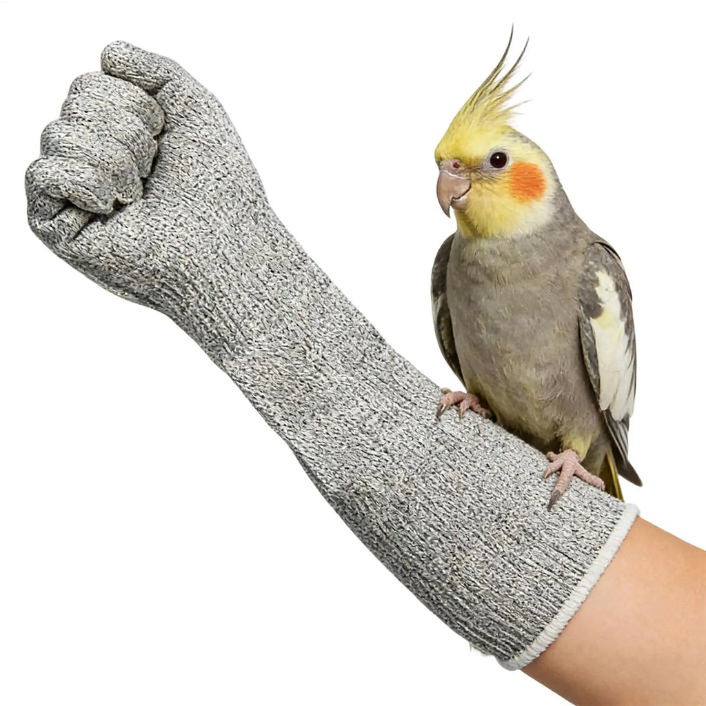 Gants de Protection Résistants aux Morsures pour Animaux de Compagnie