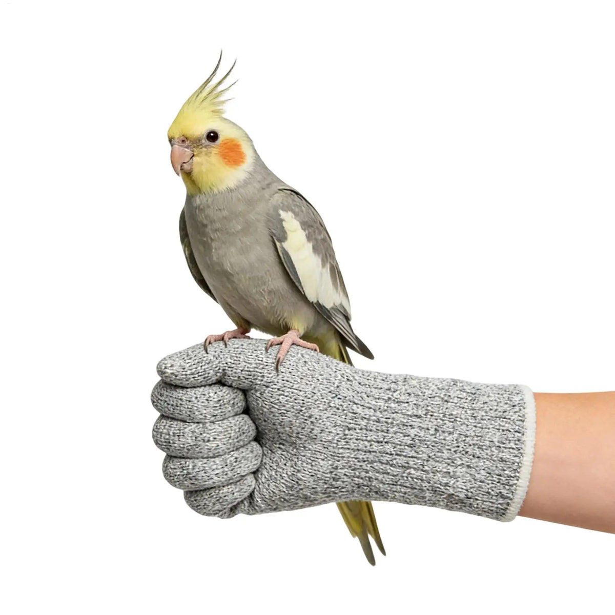 Gants de Protection pour Chat/Oiseaux – Résistants aux Griffes et aux Morsures