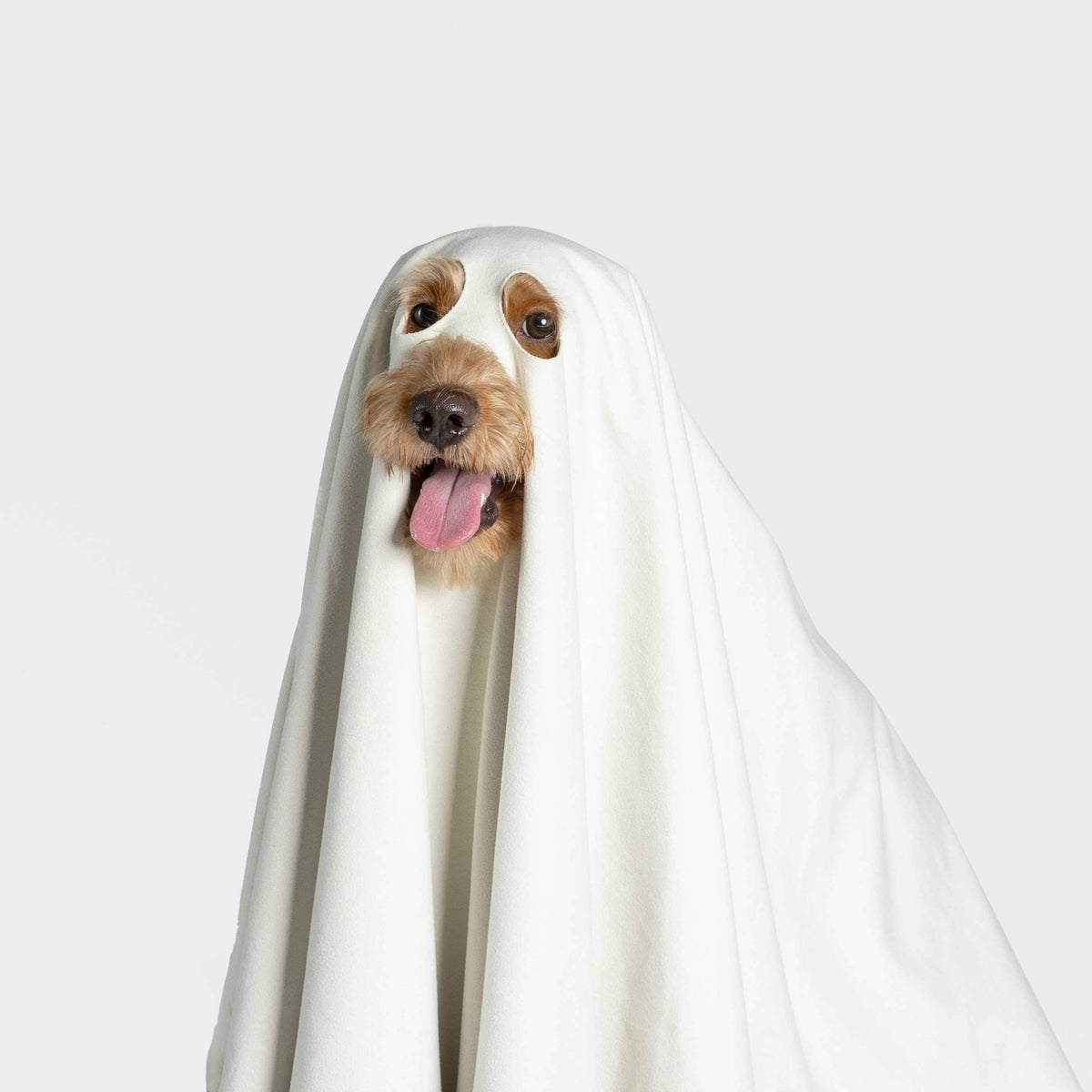 Serviette douce Ghost Dog – Séchage rapide & costume fantôme