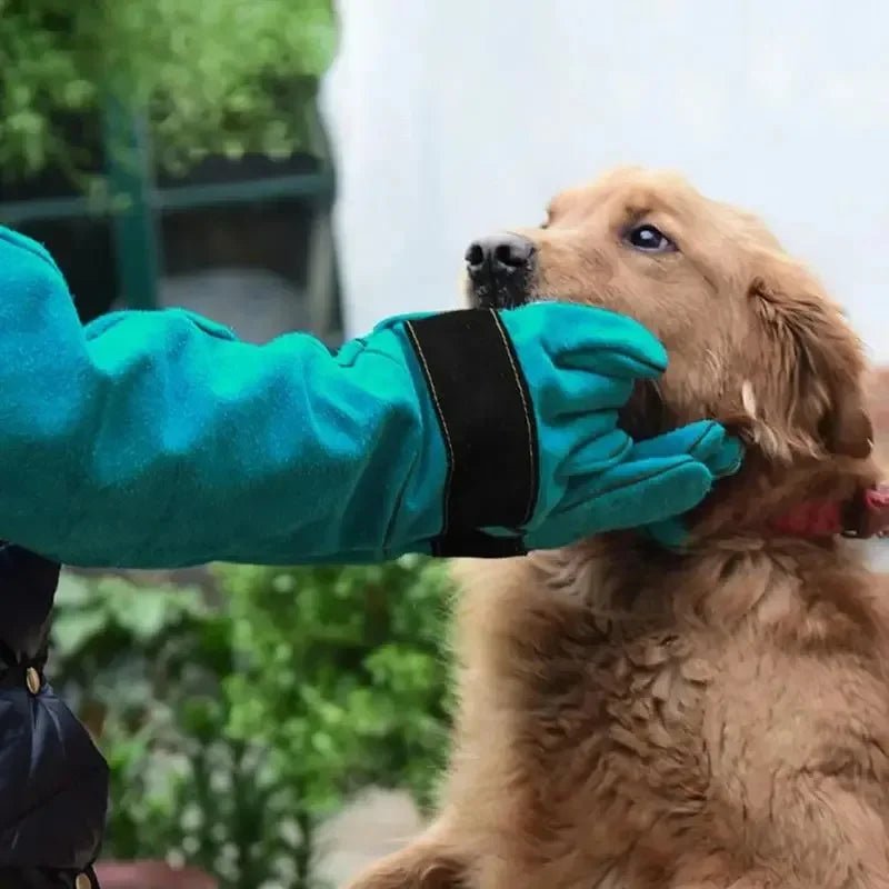 Anti-bite Safety Bite Gloves For Catch Dog Cat Reptile Animal Ultra Long Thickened Cowhide Pets Grasping Biting Protective Glove - Alma Nova Care