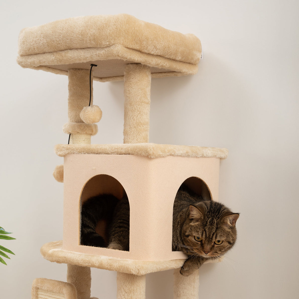 Arbre à Chat, Tour de Jeux, Hauteur de 104 cm, avec Lit, Maison, Brosse de Toilettage, 44l x 34P x 104H cm, Beige - Alma Nova Care