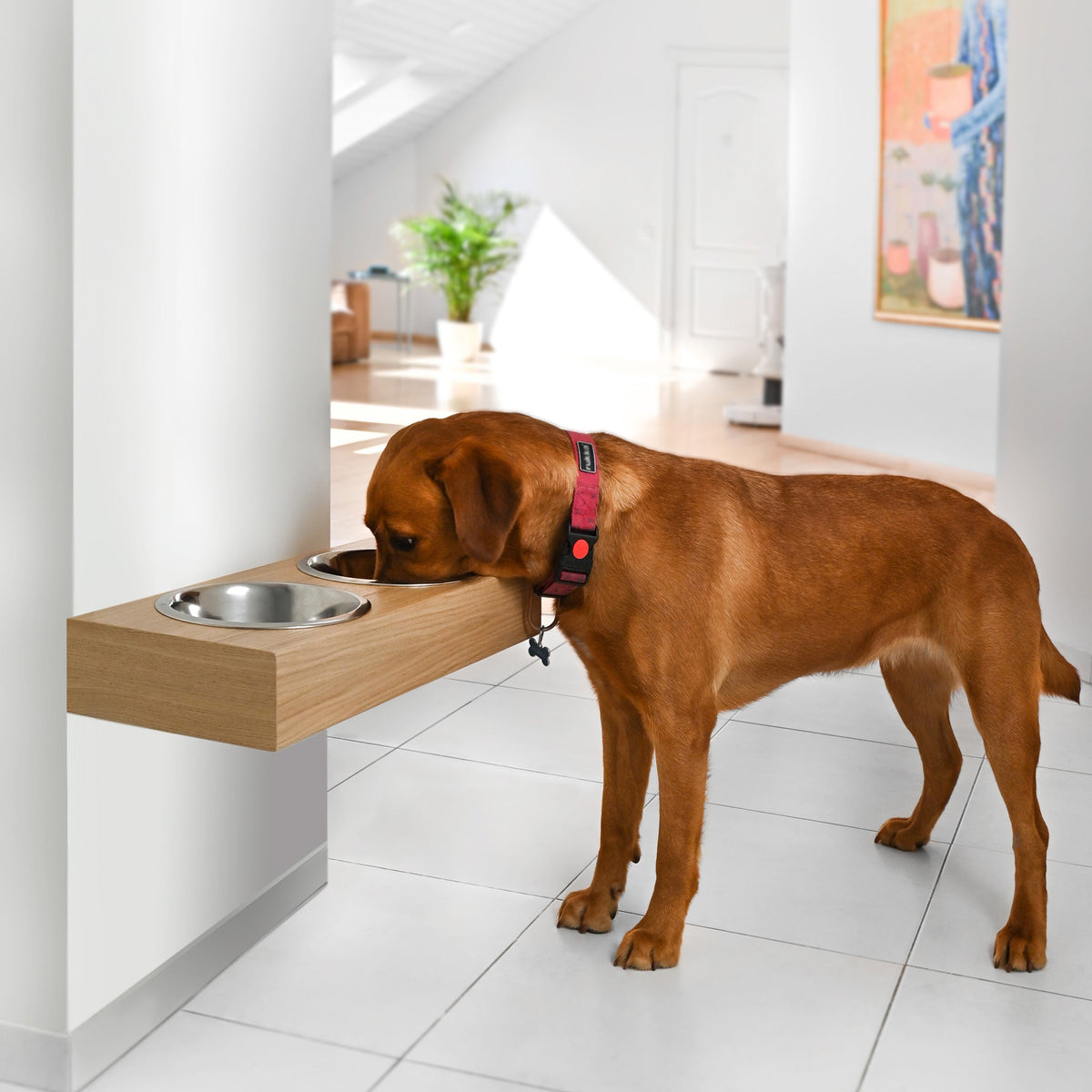 Gamelles surélevé en bois, disponible en 3 tailles pour chiens et chats