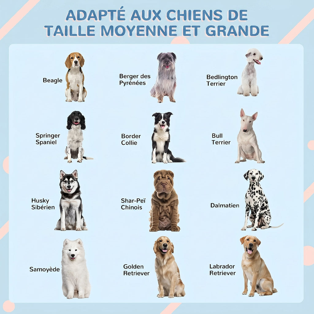Niche pour Chien Extérieur avec Toit en Pente et Porte Avant Ouverte, pour Chiens Moyens et Grands, 84,2x98,2x82cm, Bleu - Alma Nova Care