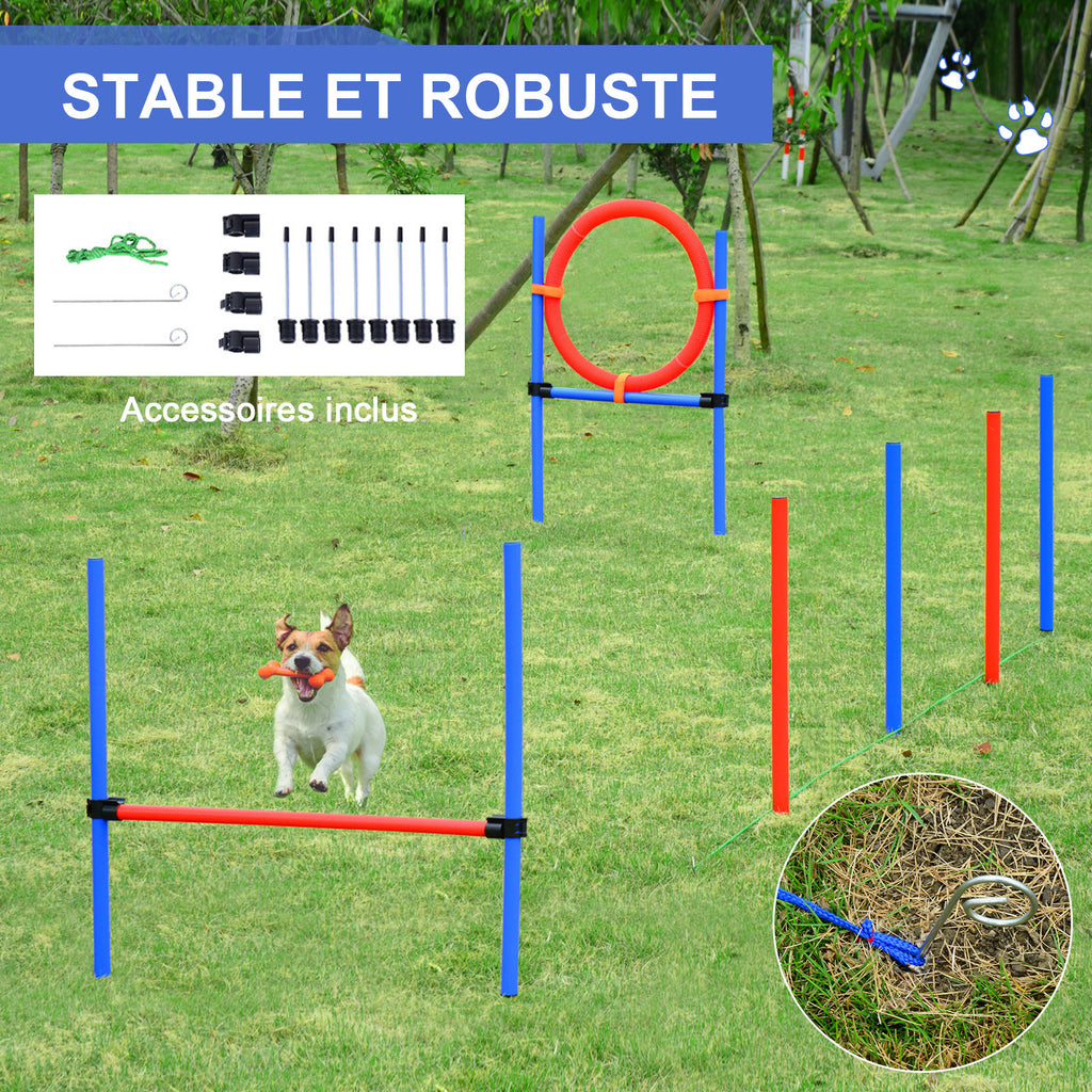 Agility sport pour chiens équipement complet obstacles et entrainement 11 pièces parcours agility chien avec sac de transport acier rouge et bleu