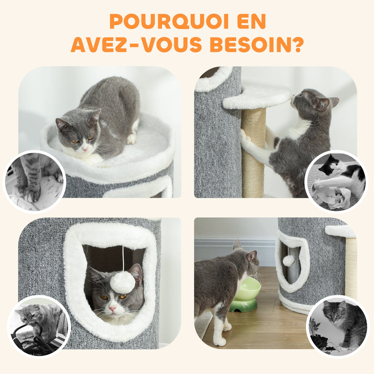 Tour pour chat à 4 niveaux arbre à chat stable avec griffoirs en sisal et bord en peluche 2 plateformes 50x36x101cm gris - Alma Nova Care